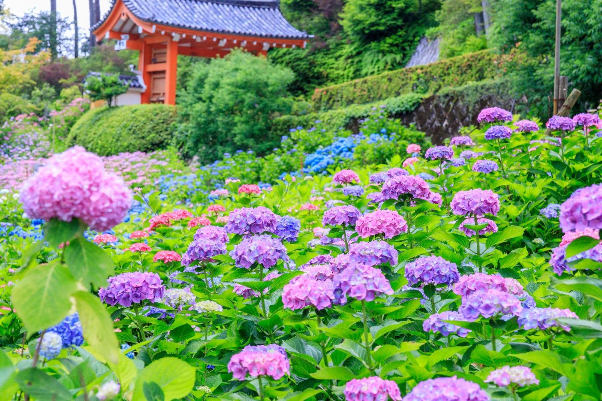 Отель Mimaru Kyoto Nishinotoin Takatsuji Экстерьер фото