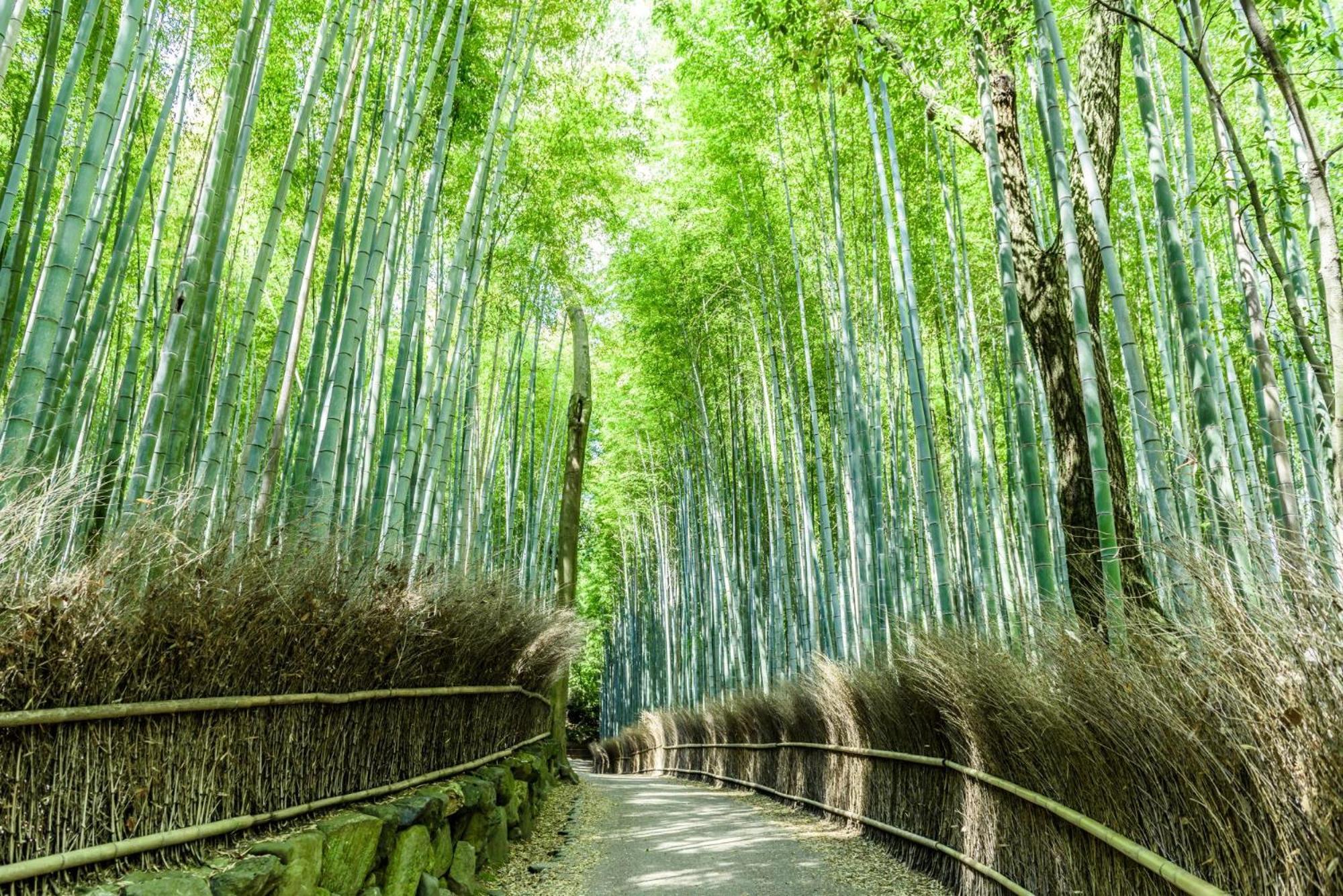 Отель Mimaru Kyoto Nishinotoin Takatsuji Экстерьер фото